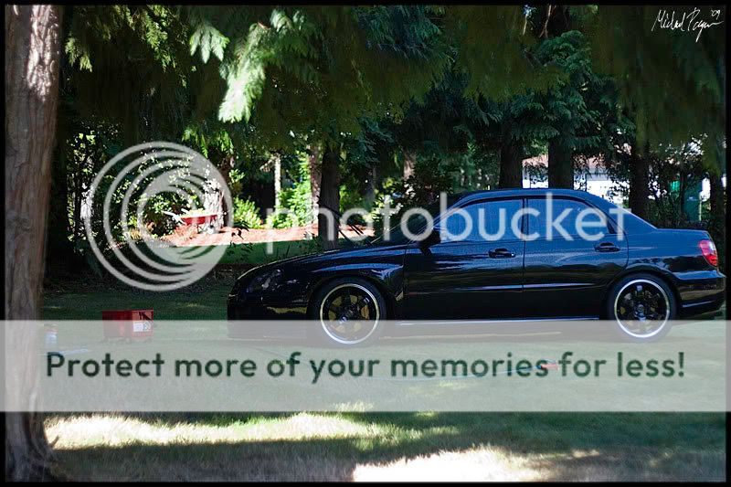 09-15_ryansti_3.jpg