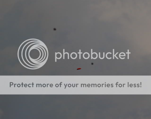 IMAGE: http://i363.photobucket.com/albums/oo73/aaoutdoors/_O2B6336.jpg