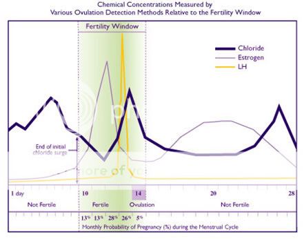 glaire cervicale combien de temps avant ovulation glaire cervicale combien de temps avant ovulation