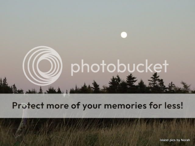 By The light of the Moon Pictures, Images and Photos