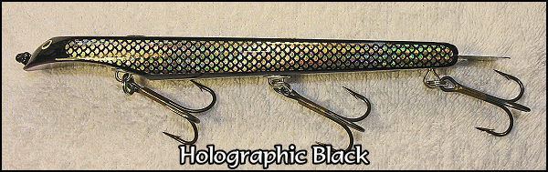 HolographicBlack