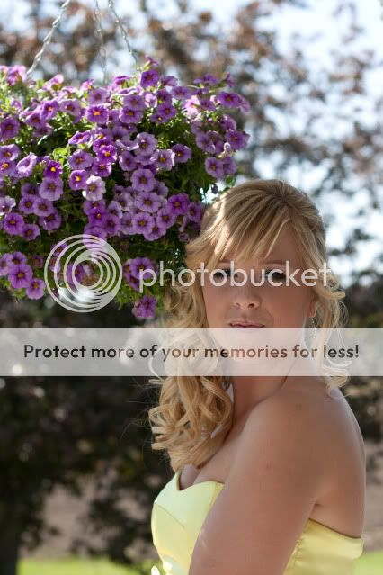 IMAGE: http://i363.photobucket.com/albums/oo75/meggyisme/Random%20Photos/IMG_5343.jpg