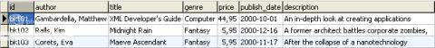Hasil Import XML ke MySQL