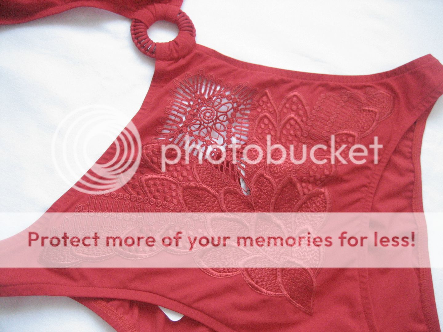  photo IMG_2547_zpslqcm1f1w.jpg