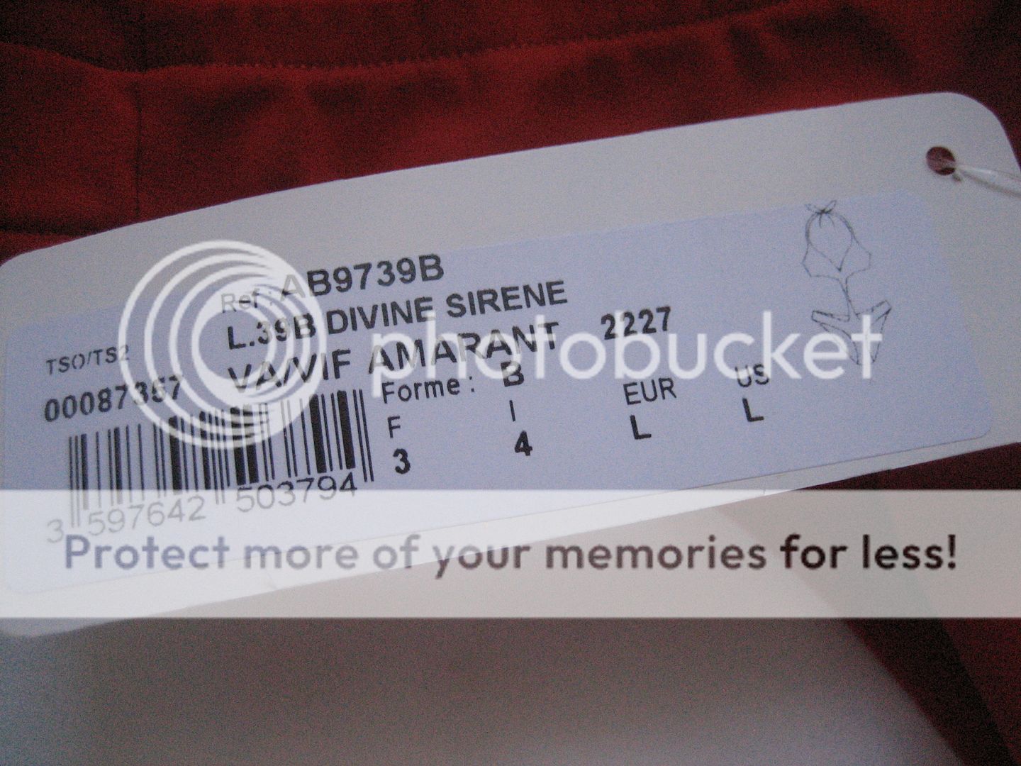  photo IMG_2551_zps6h3yqznv.jpg