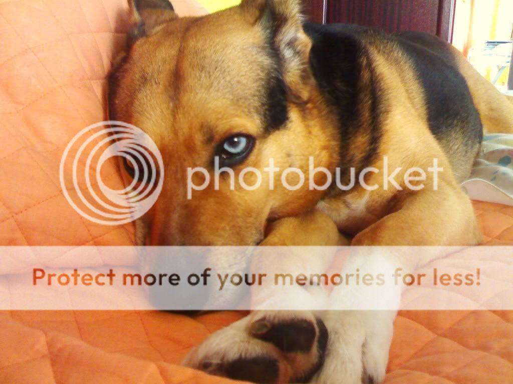 Photobucket