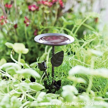 How to Create a Fairy Garden by The Everyday Home